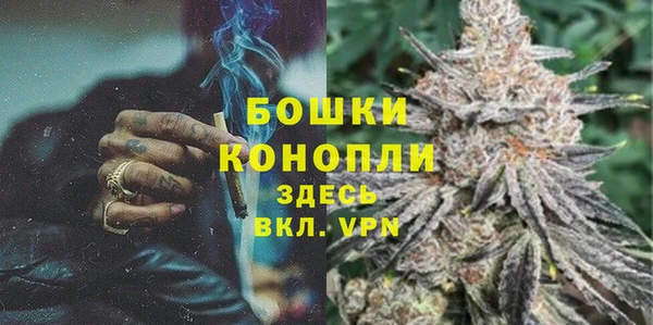 mix Богородицк