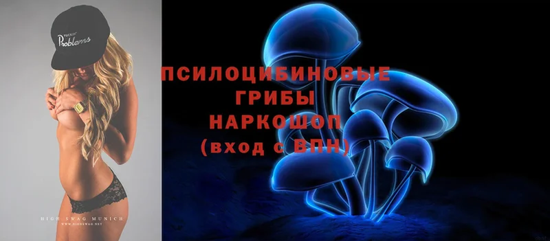 Галлюциногенные грибы MAGIC MUSHROOMS  где продают наркотики  Усть-Джегута 